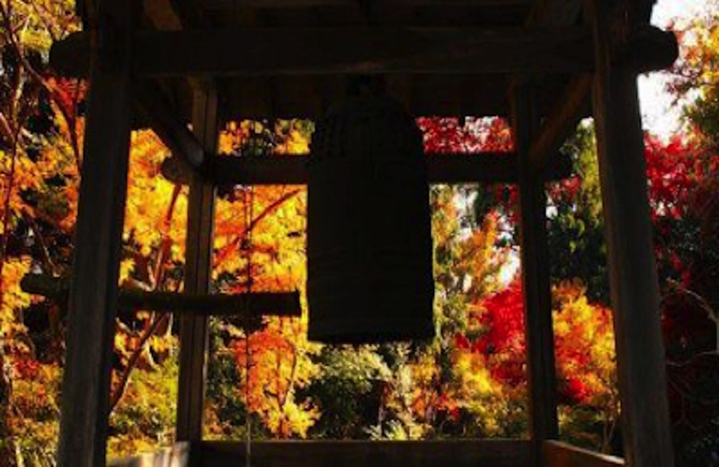 お寺と紅葉