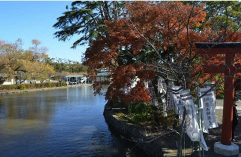 八幡宮紅葉
