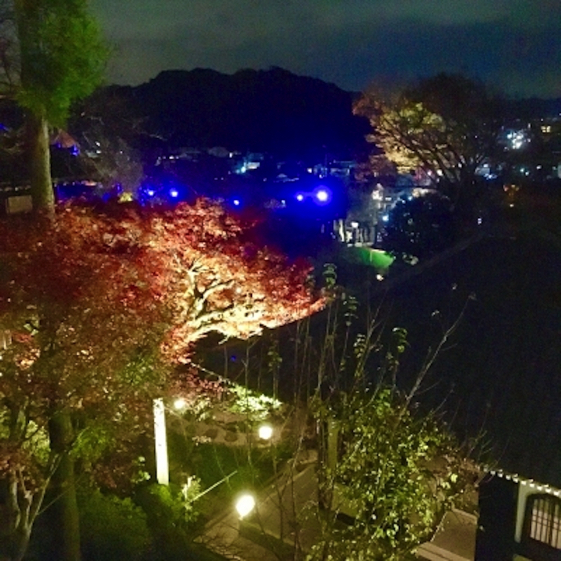 鎌倉長谷寺の紅葉ライトアップ
