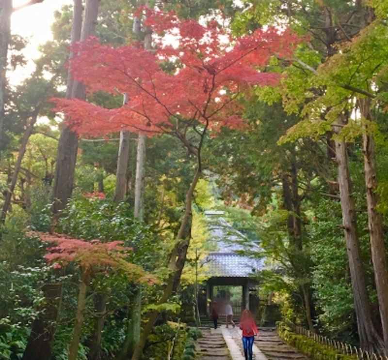 寿福寺参道