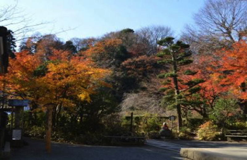 建長寺紅葉