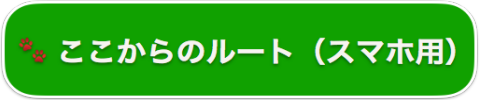 “ここからのルートスマホ版”/