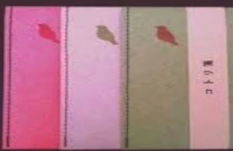 コトリ箋