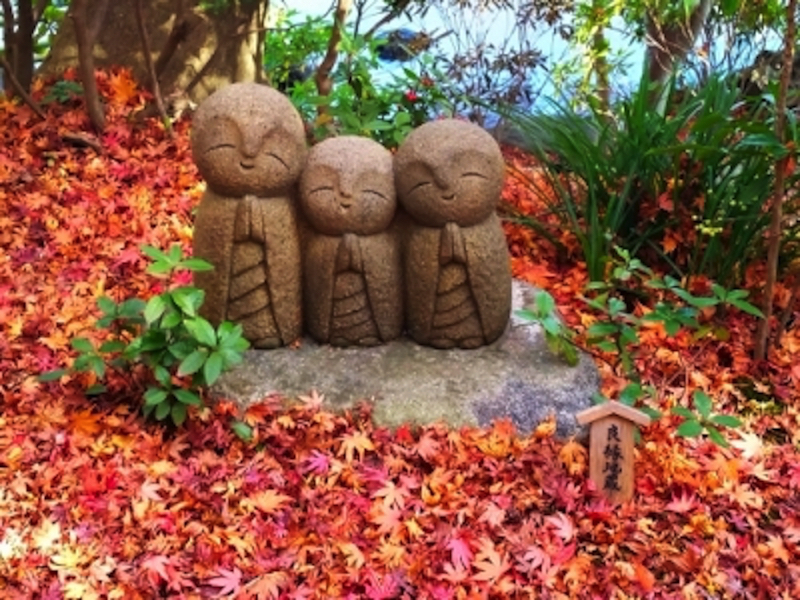 鎌倉長谷寺の紅葉