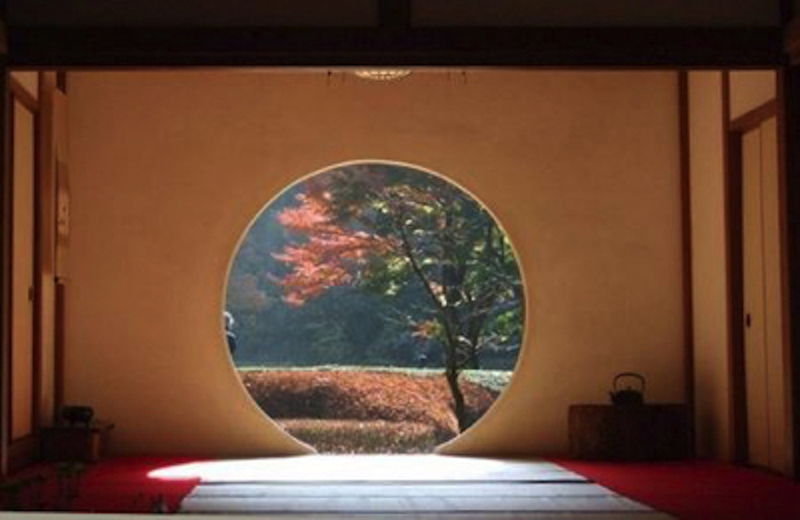 明月院(あじさい寺)奥庭