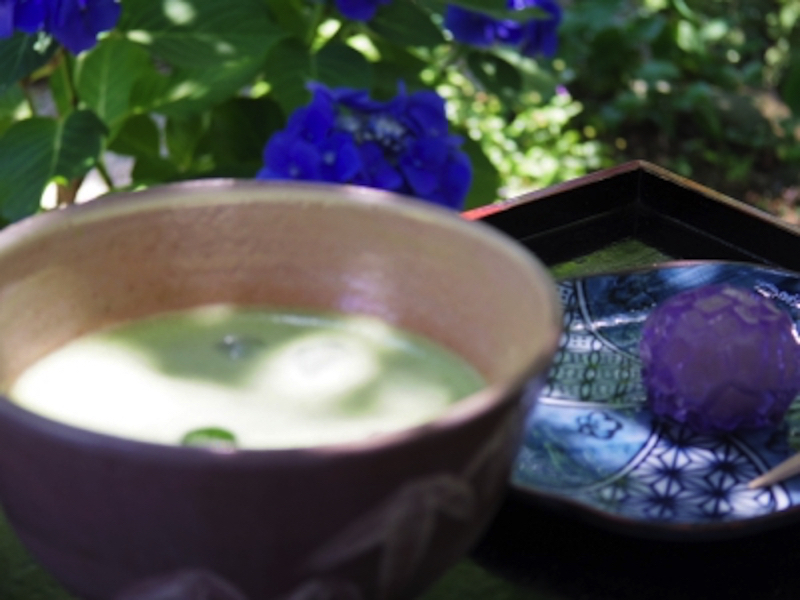 枝村園のお茶