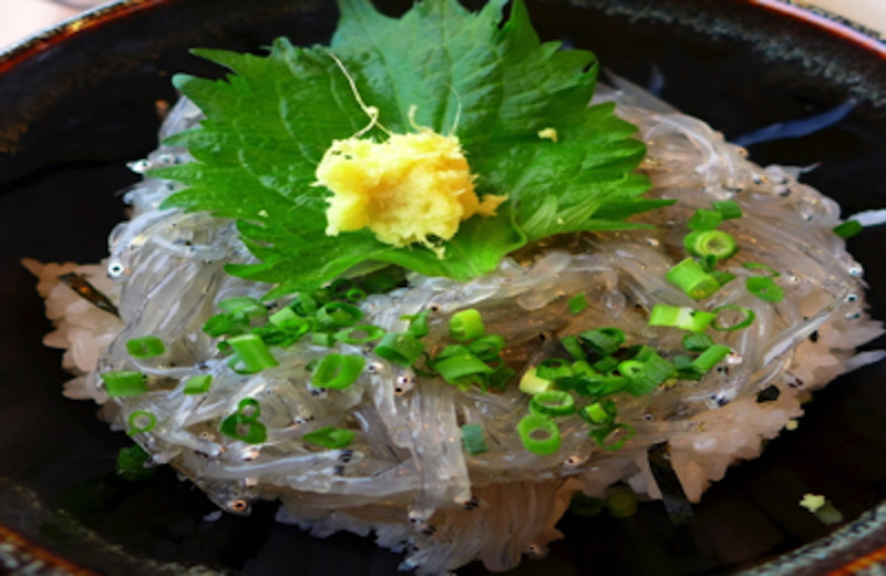 鎌倉のしらす丼