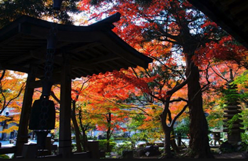 鎌倉の覚園寺（薬師堂・愛染堂)