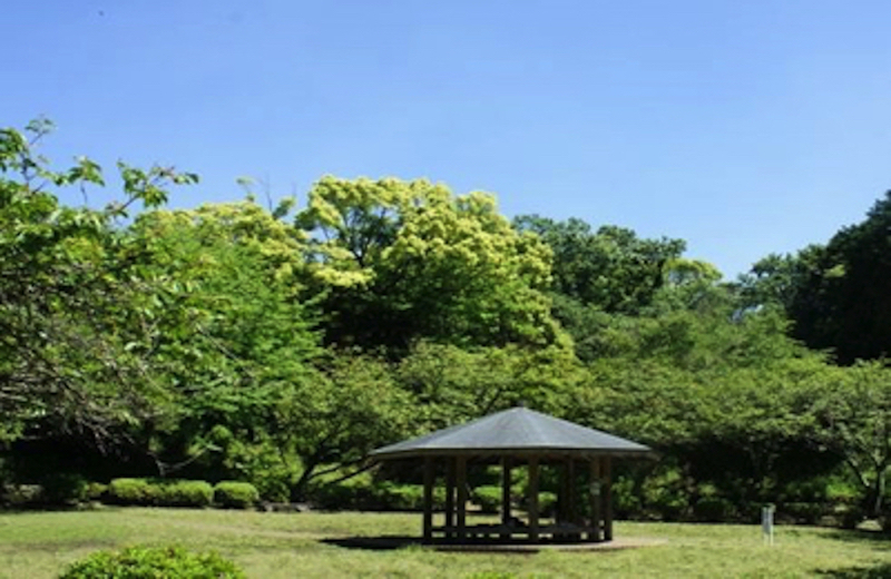 源氏山公園あずまや