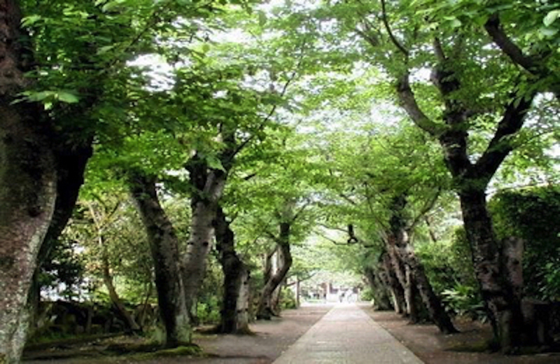 極楽寺参道