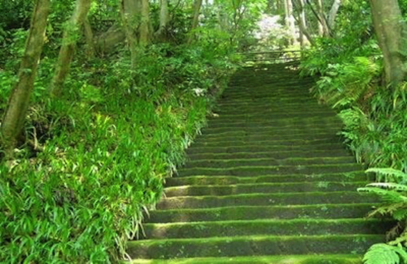 妙法寺（苔寺）