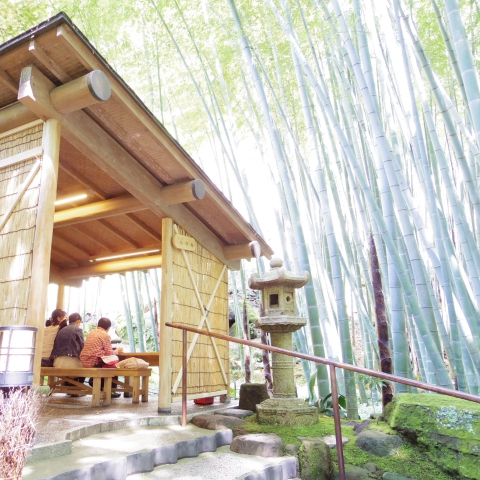 報国寺(竹寺)の抹茶