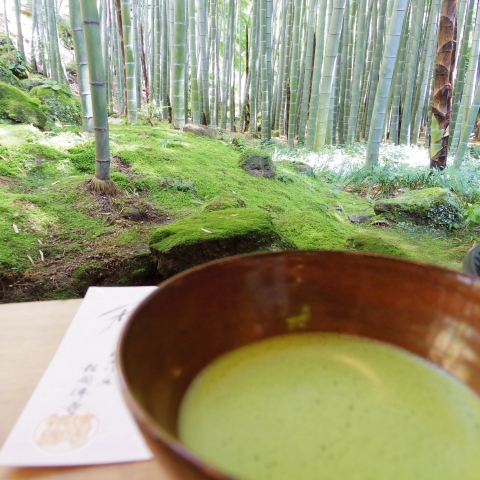 報国寺(竹寺)の抹茶