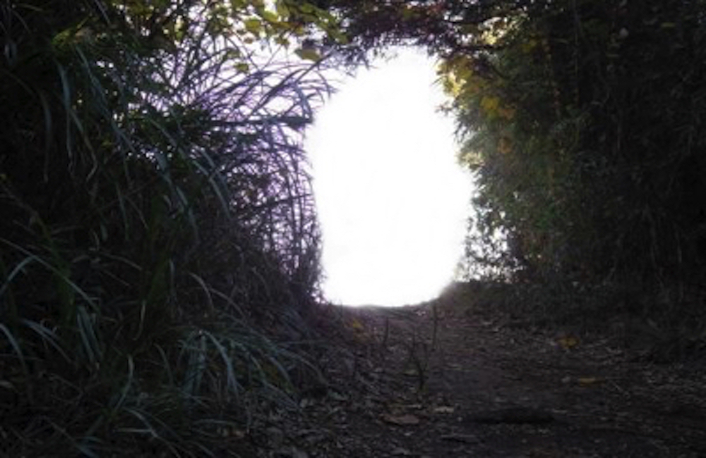 大平山入口
