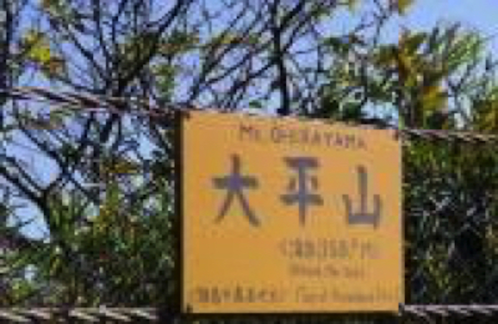 大平山看板