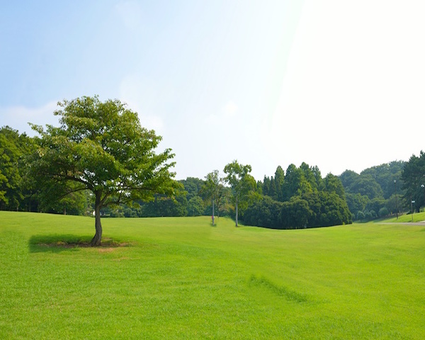 根岸森林公園