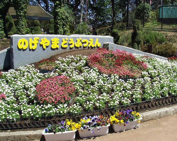 野毛山動物園